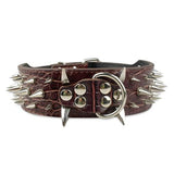 Sharp Spiked Studded Leather Dog Collars