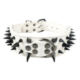 Sharp Spiked Studded Leather Dog Collars