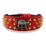 Spiked Studded Leather Dog Collar With Skull