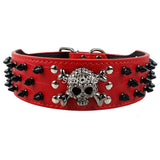 Spiked Studded Leather Dog Collar With Skull