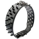 Spiked Studded Leather Dog Collar With Skull